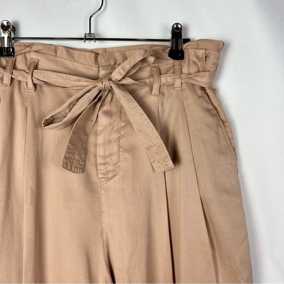 Zara Beige Pink Pleated High Rise Wide Leg Paperbag Pants 4 - Picture 3 of 4